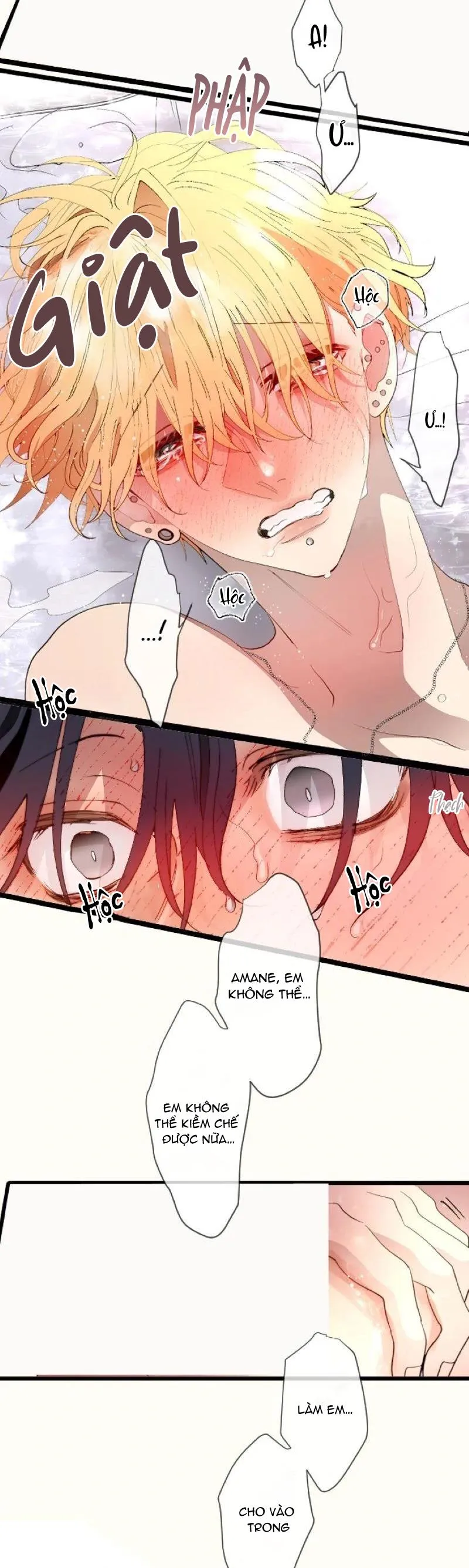 Kẻ Theo Dõi Biến Thái Của Tôi Chapter 146 Trang 17