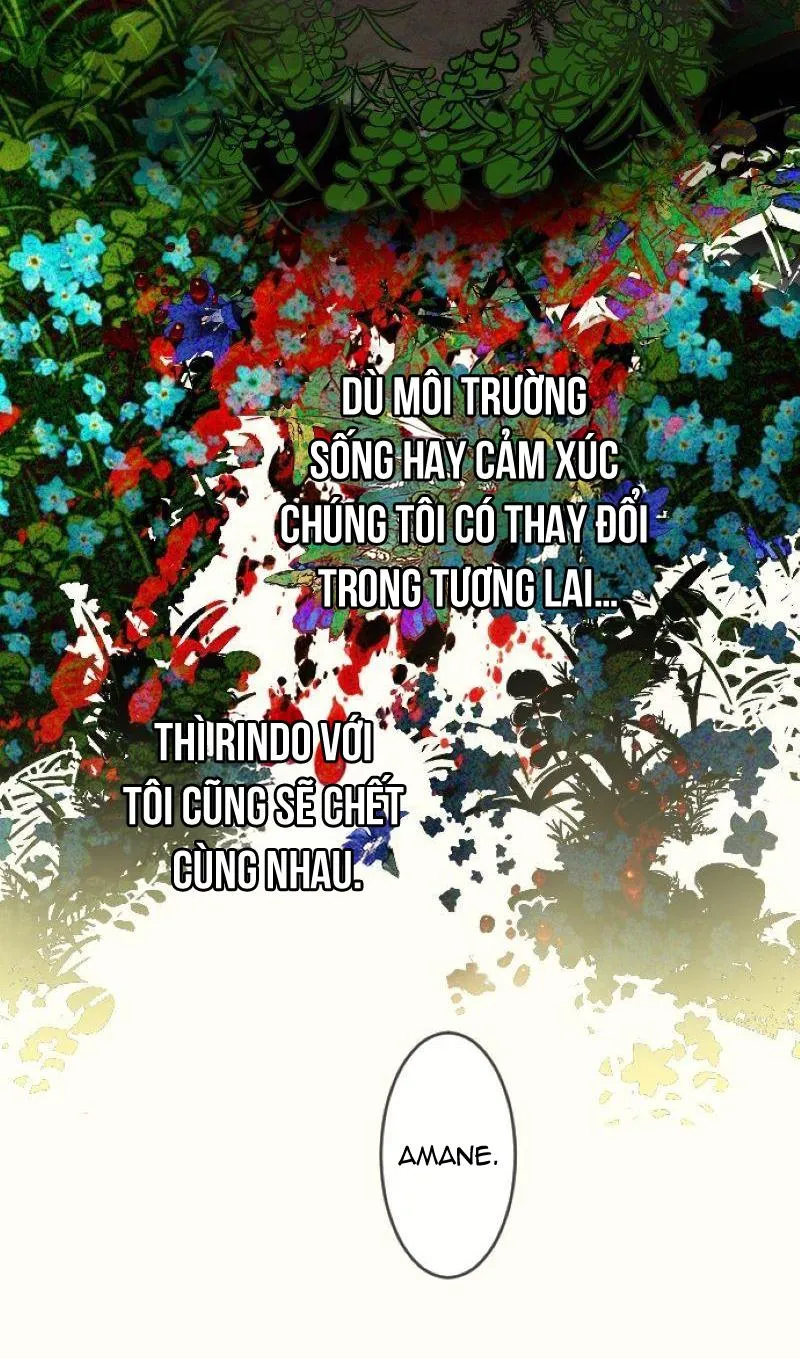 Kẻ Theo Dõi Biến Thái Của Tôi Chapter 147 Trang 6