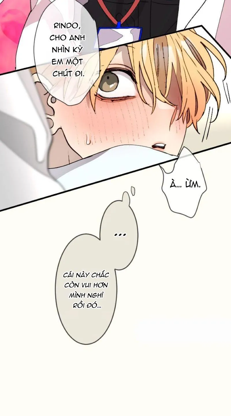 Kẻ Theo Dõi Biến Thái Của Tôi Chapter 147 Trang 33