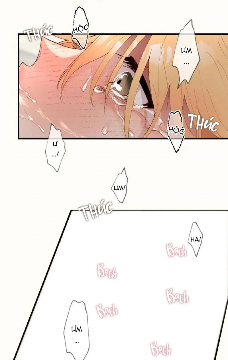 Kẻ Theo Dõi Biến Thái Của Tôi Chapter 149 Trang 19