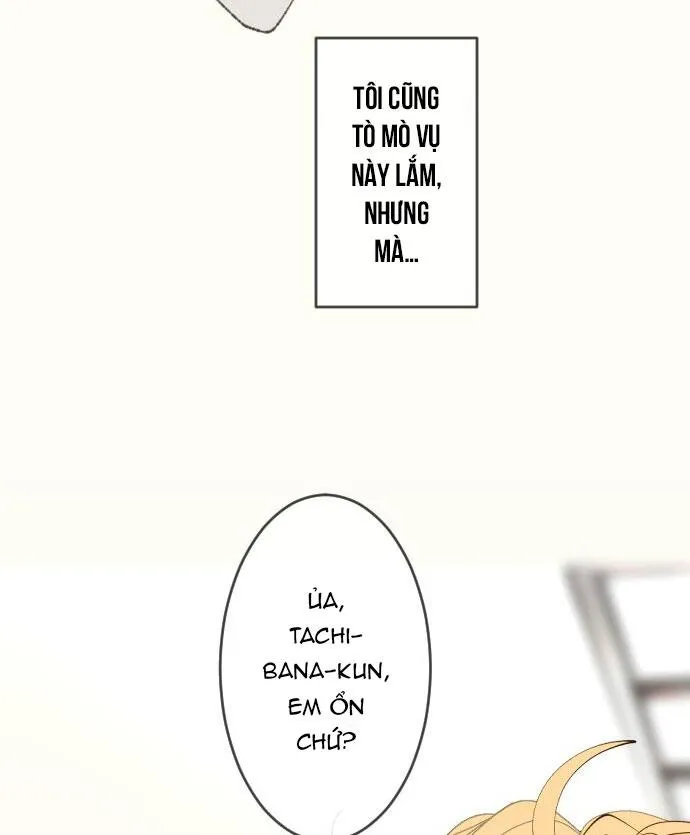 Kẻ Theo Dõi Biến Thái Của Tôi Chapter 152 Trang 4