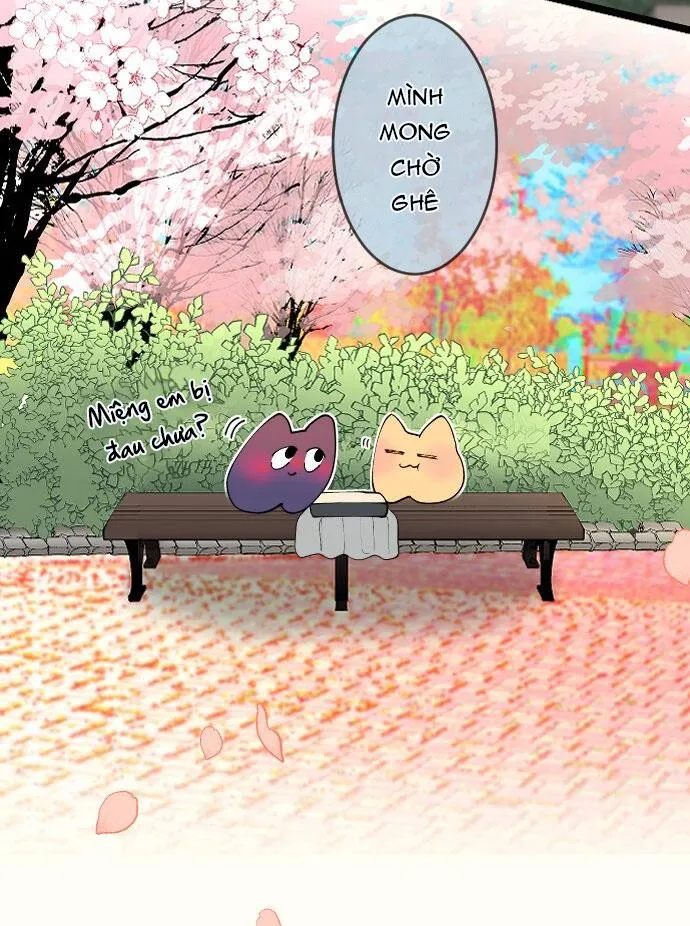 Kẻ Theo Dõi Biến Thái Của Tôi Chapter 154 Trang 8