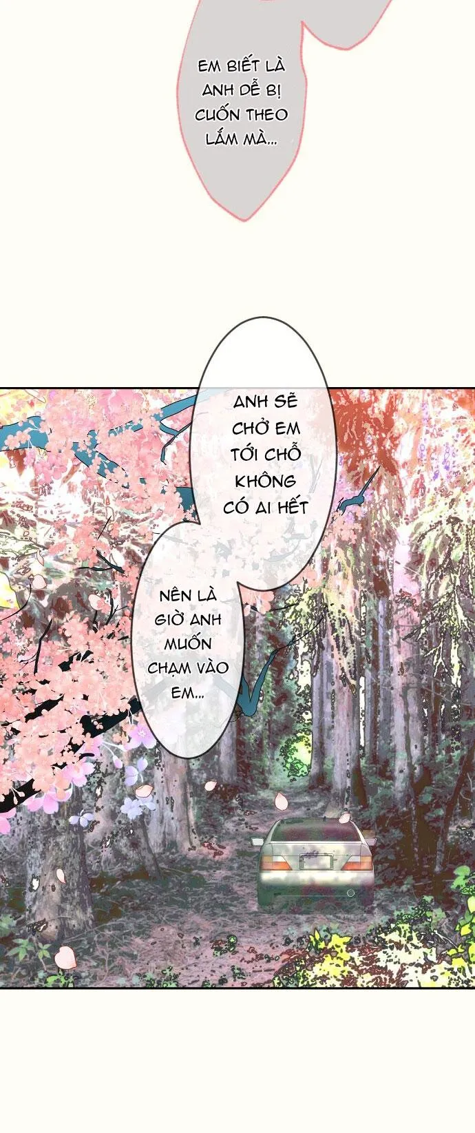 Kẻ Theo Dõi Biến Thái Của Tôi Chapter 154 Trang 31