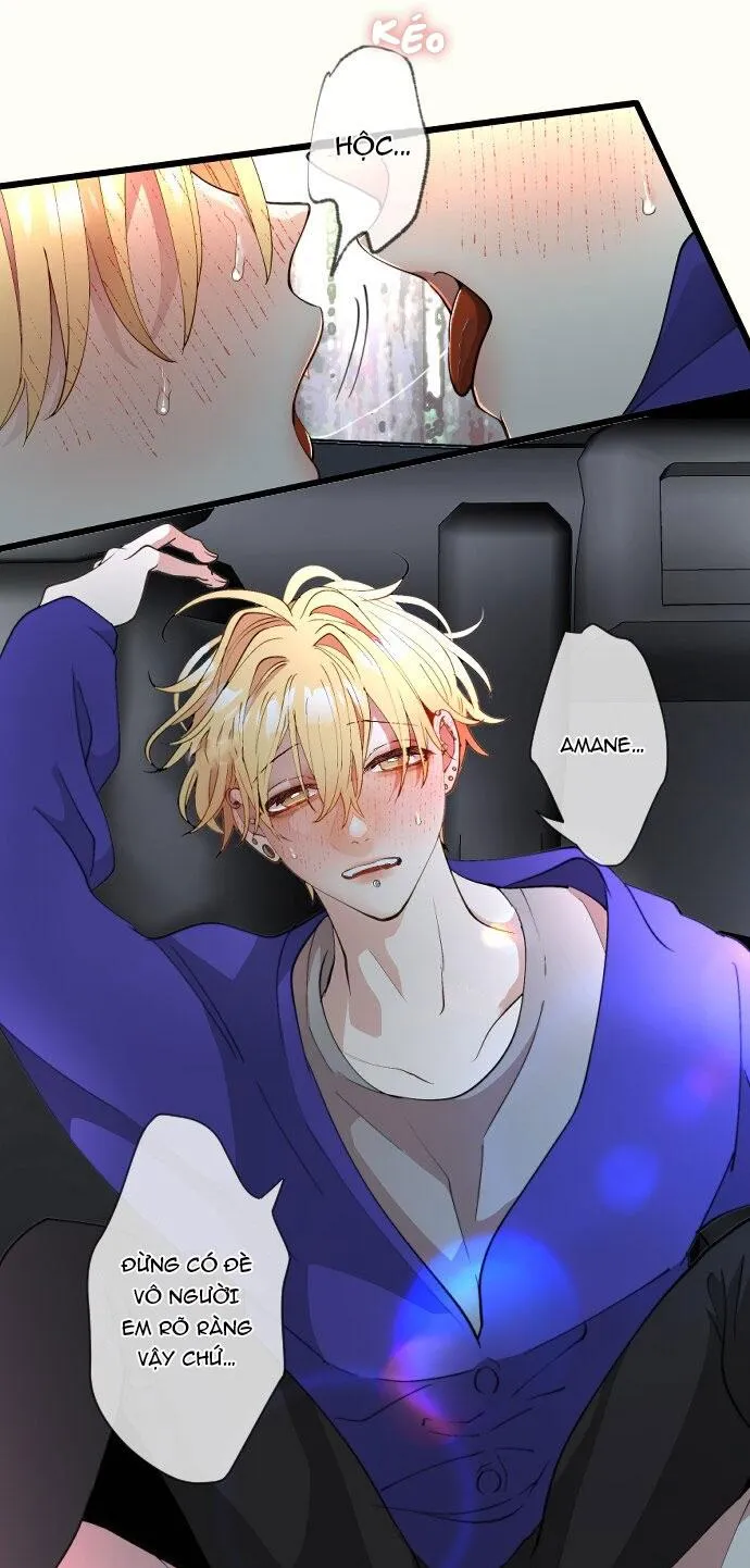 Kẻ Theo Dõi Biến Thái Của Tôi Chapter 154 Trang 35