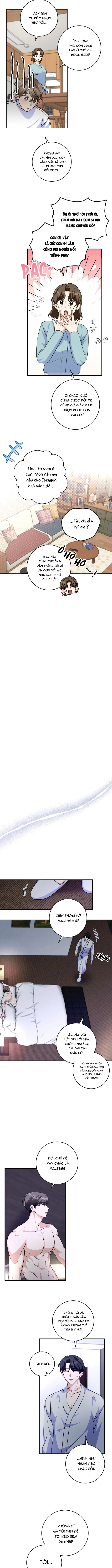 Kẻ Thu Gom Rác Chapter 11 Trang 8