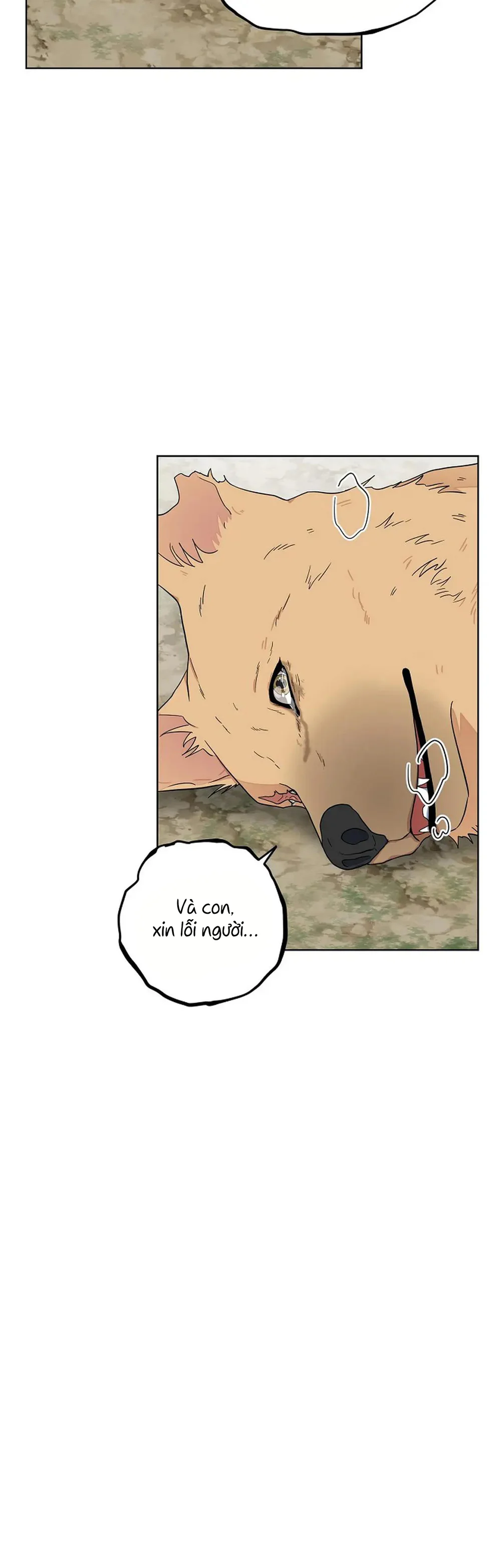 Kẻ Trộm Hồ Tiên Chapter 56 Trang 41