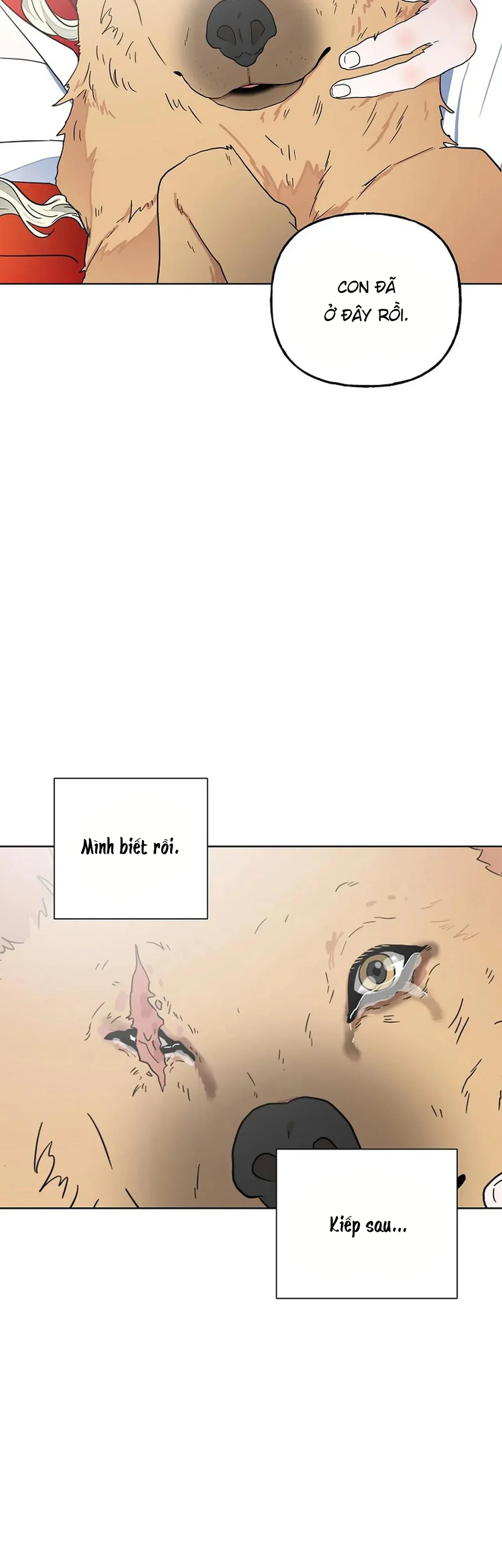 Kẻ Trộm Hồ Tiên Chapter 56 Trang 47