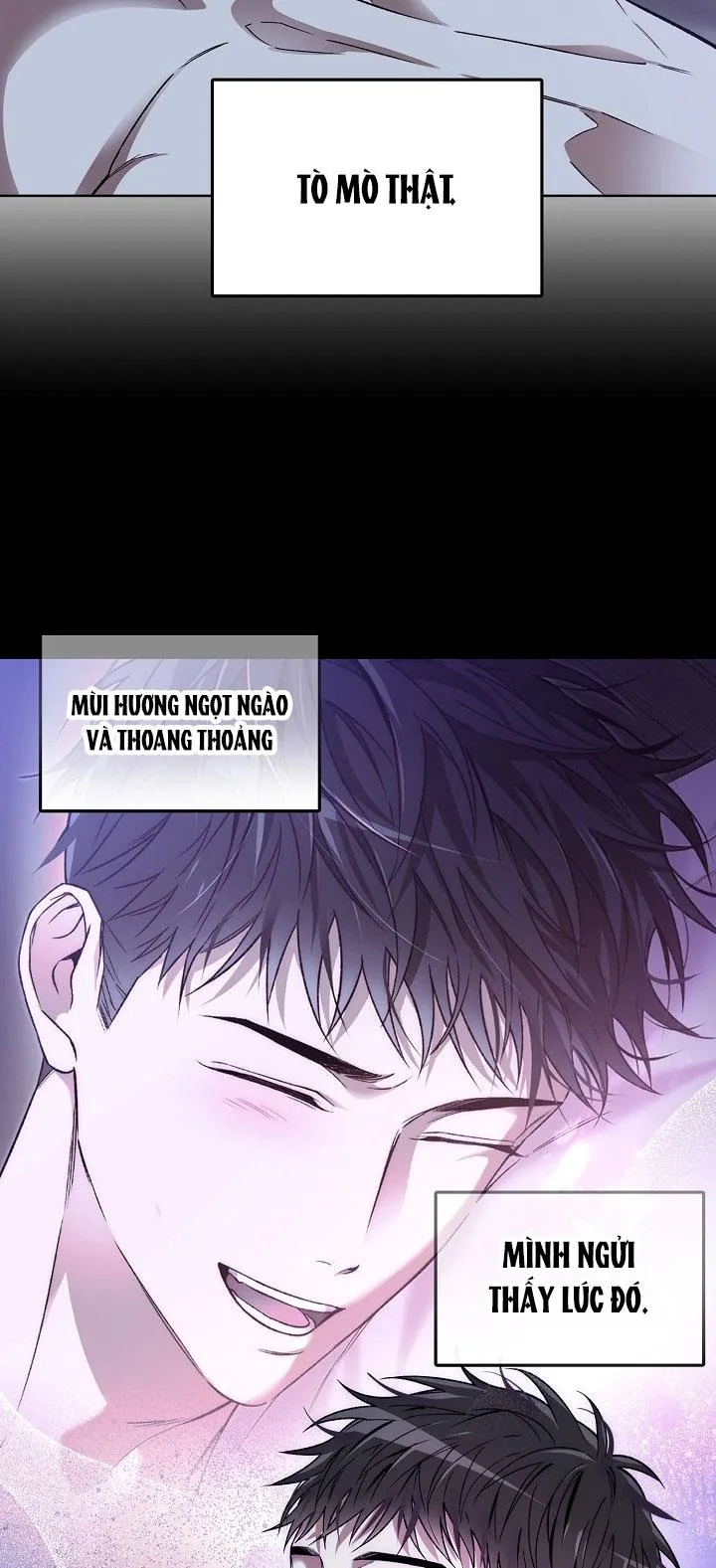 (ABO) KẺ VÔ LẠI Chapter 10 Trang 31