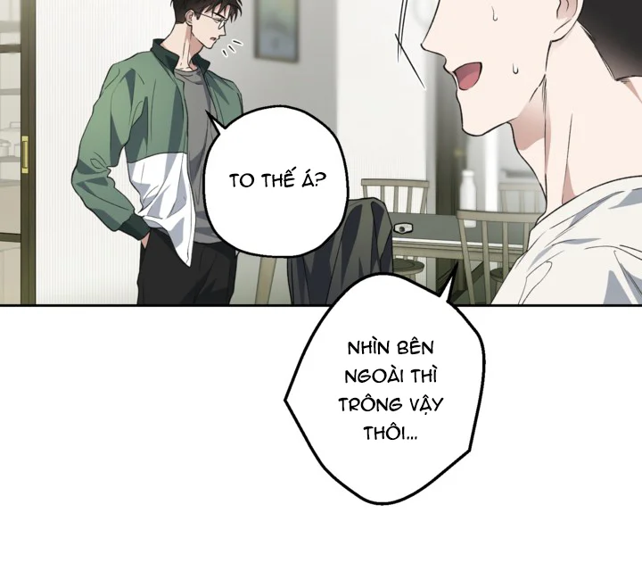 (ABO) KẺ VÔ LẠI Chapter 28 Trang 14