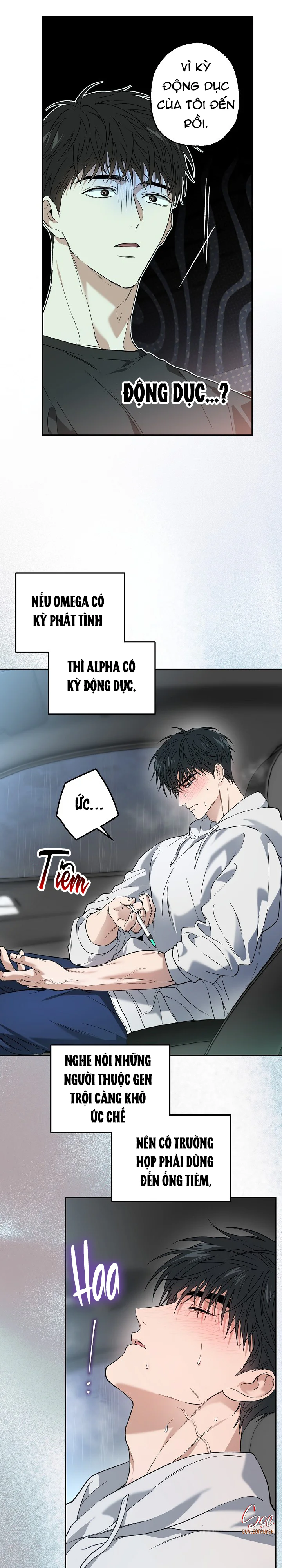 (ABO) KẺ VÔ LẠI Chapter 35 Trang 4