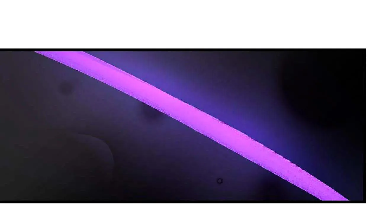 Kẻ xấu xa nhất vũ trụ Chapter 25 Trang 43