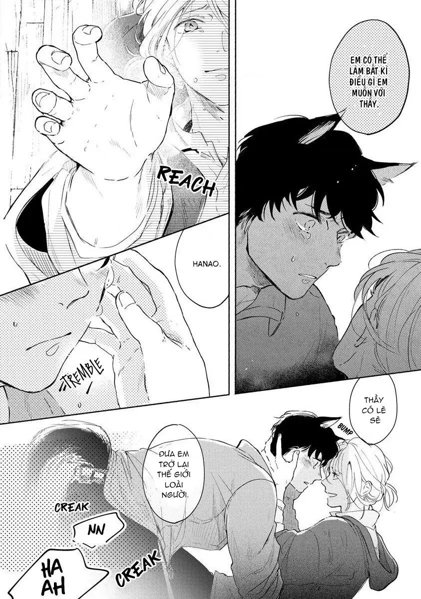 Kemono no Noroi wa Koi de Hodoku Chapter 2 Trang 26