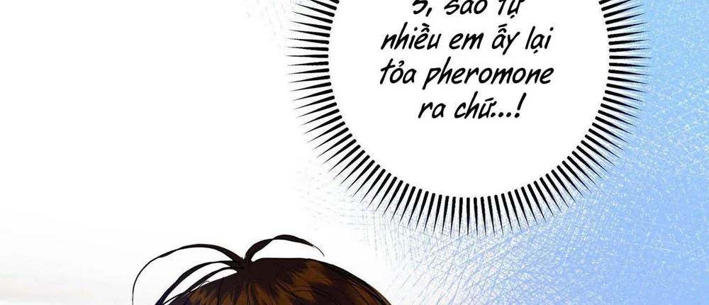 Kẹo Bạc Hà Chapter 16 Trang 11