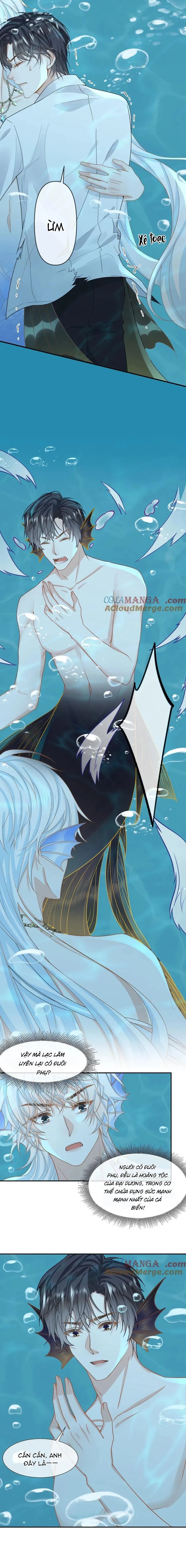 Khát Vọng Ngọt Ngào Chapter 162 Trang 4