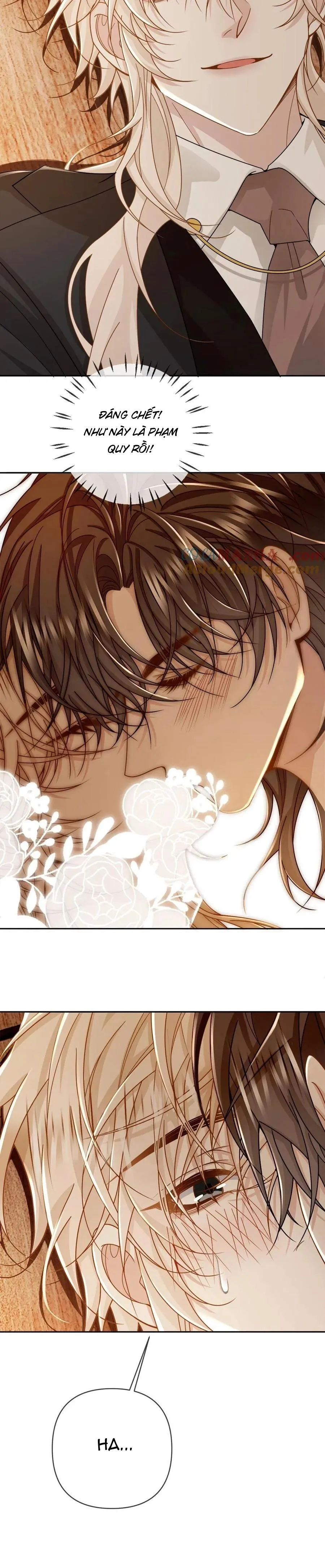 Khát Vọng Ngọt Ngào Chapter 206 Trang 3