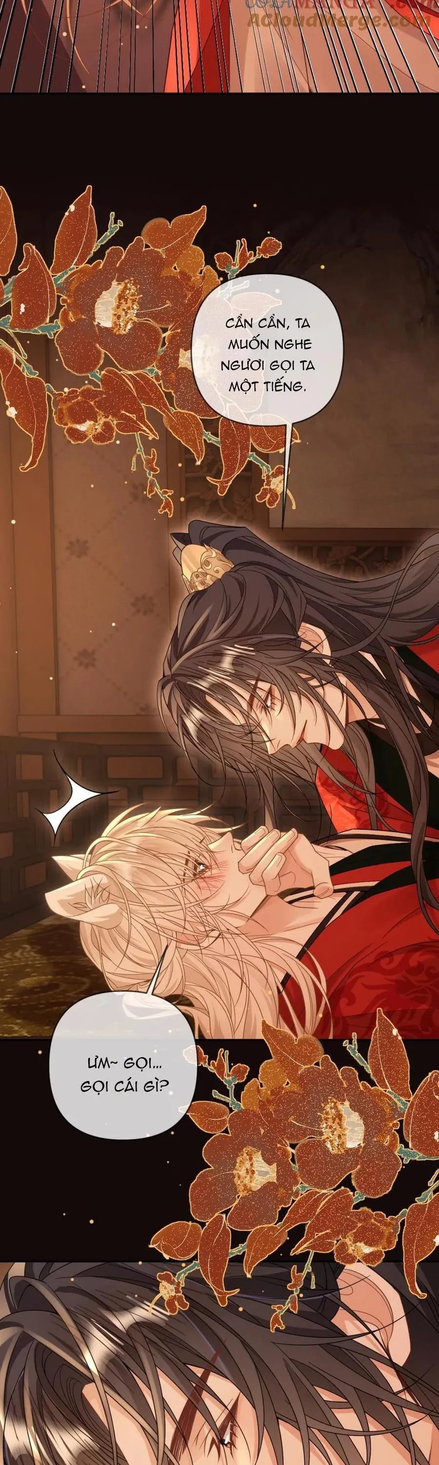 Khát Vọng Ngọt Ngào Chapter 227 Trang 9