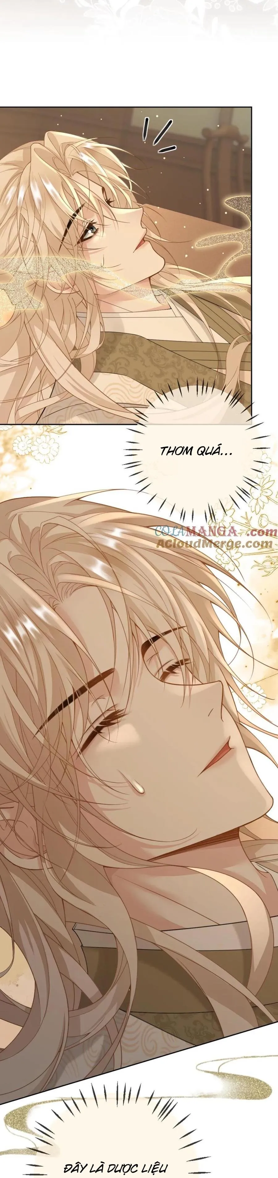 Khát Vọng Ngọt Ngào Chapter 247 Trang 11