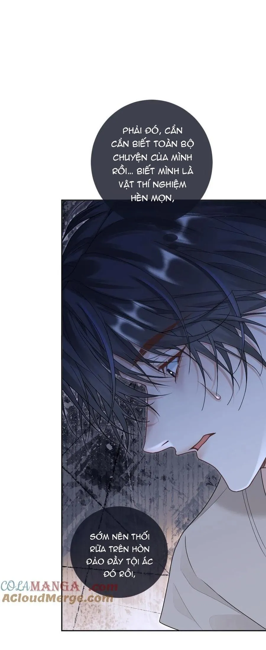 Khát Vọng Ngọt Ngào Chapter 278 Trang 6