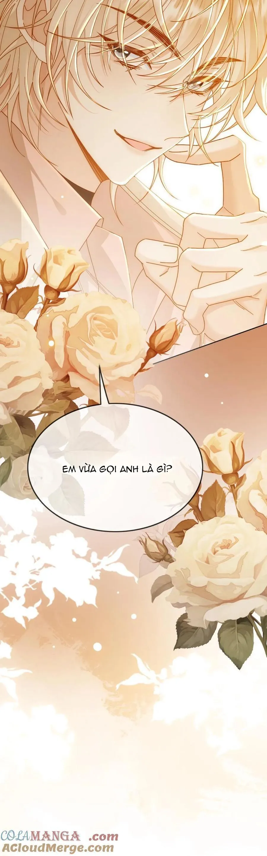 Khát Vọng Ngọt Ngào Chapter 282 Trang 15