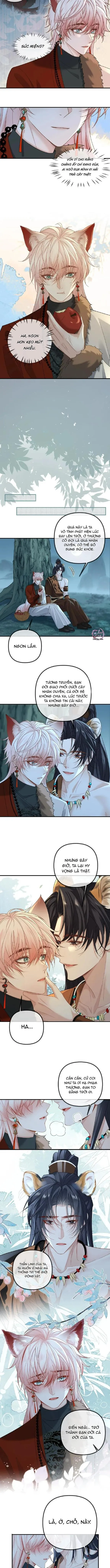 Khát Vọng Ngọt Ngào Chapter 433 Trang 3