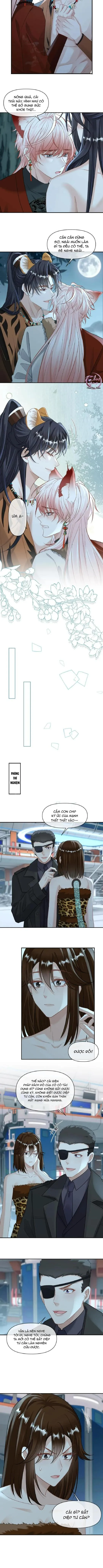 Khát Vọng Ngọt Ngào Chapter 433 Trang 4