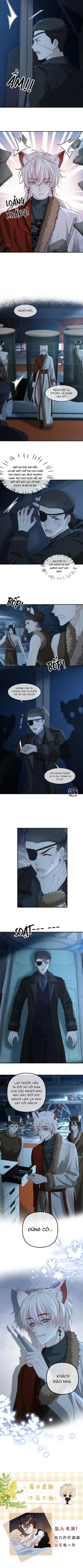 Khát Vọng Ngọt Ngào Chapter 435 Trang 4