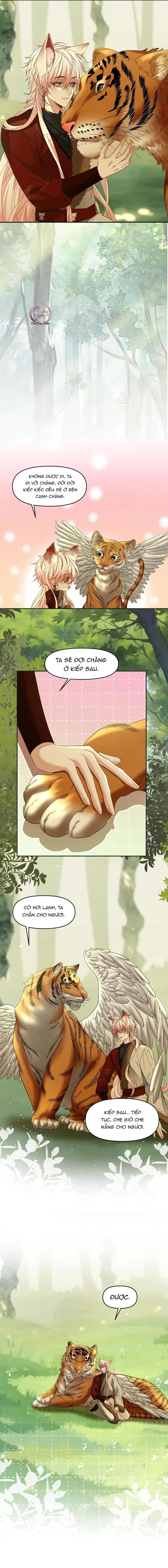 Khát Vọng Ngọt Ngào Chapter 446 Trang 8