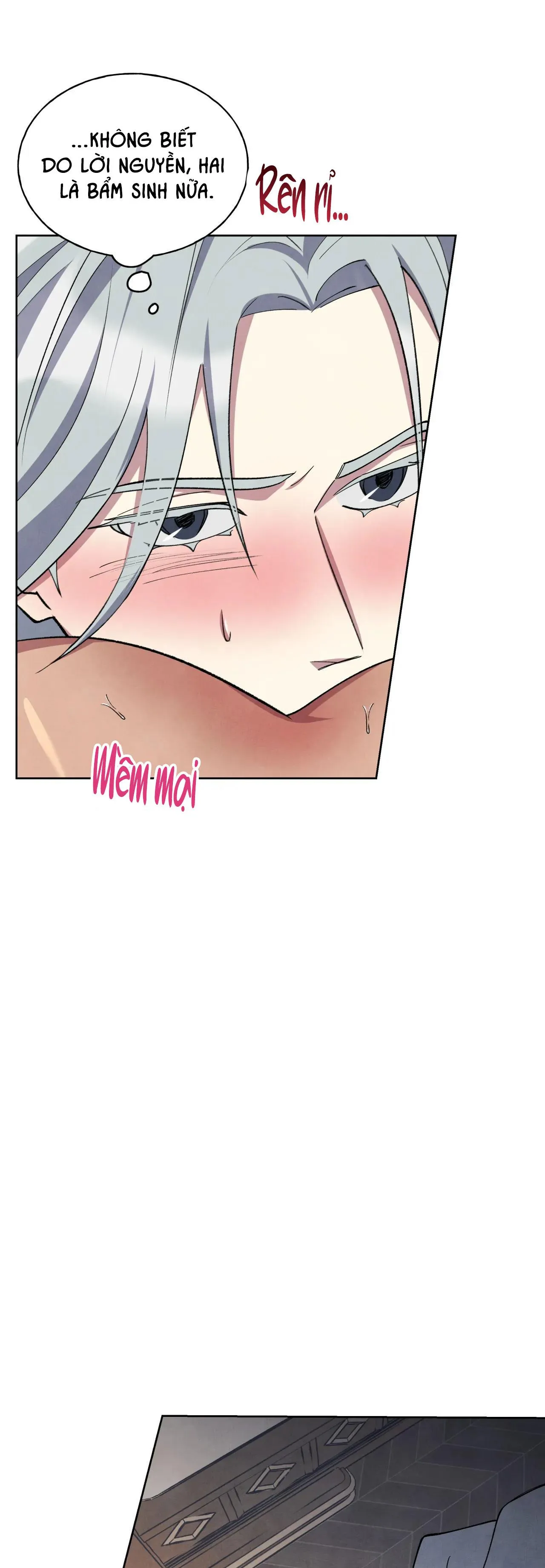 KHẾ ƯỚC BÍ MẬT CỦA ĐẠI CÔNG TƯỚC XỨ BẮC Chapter 10 Trang 11