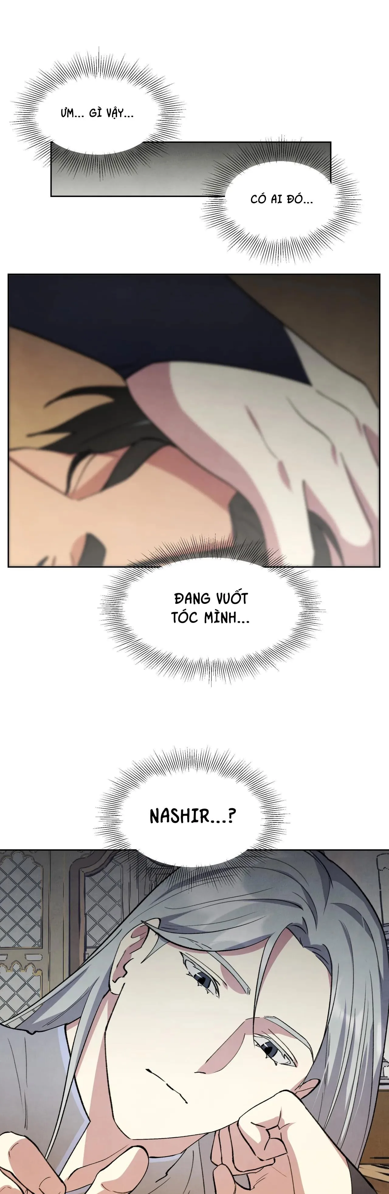 KHẾ ƯỚC BÍ MẬT CỦA ĐẠI CÔNG TƯỚC XỨ BẮC Chapter 19 Trang 13