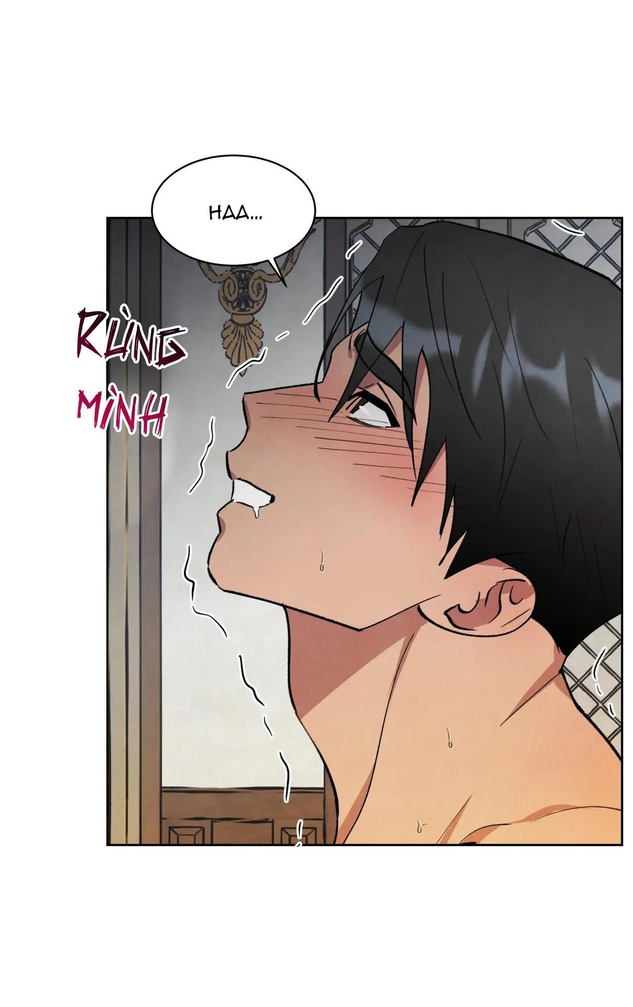 KHẾ ƯỚC BÍ MẬT CỦA ĐẠI CÔNG TƯỚC XỨ BẮC Chapter 29 Trang 19