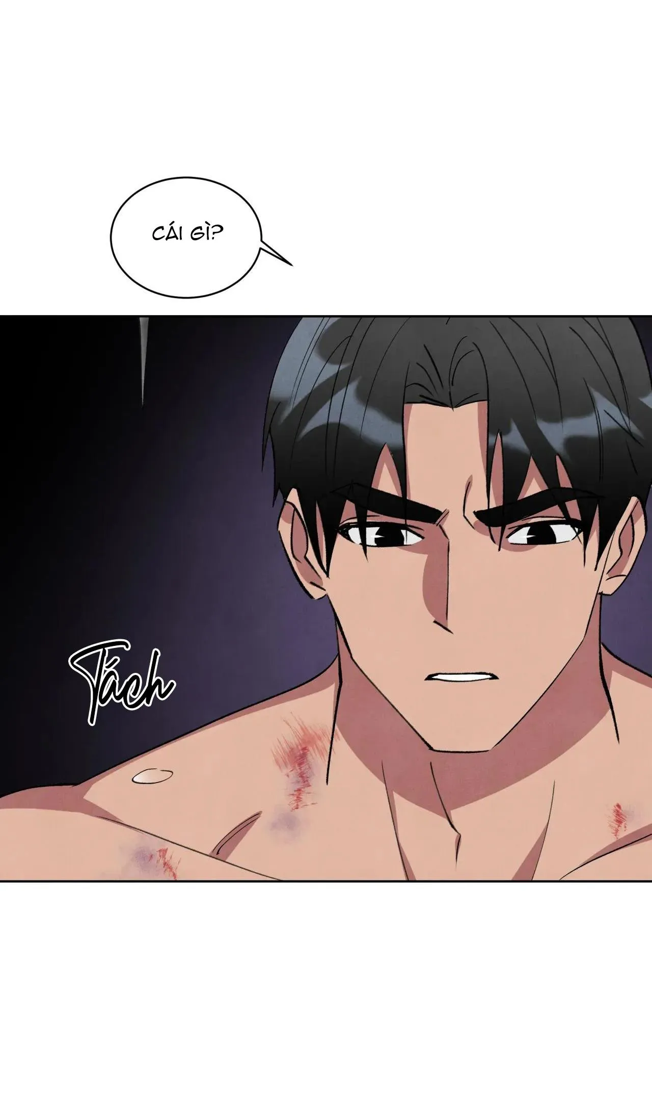 KHẾ ƯỚC BÍ MẬT CỦA ĐẠI CÔNG TƯỚC XỨ BẮC Chapter 46 Trang 47