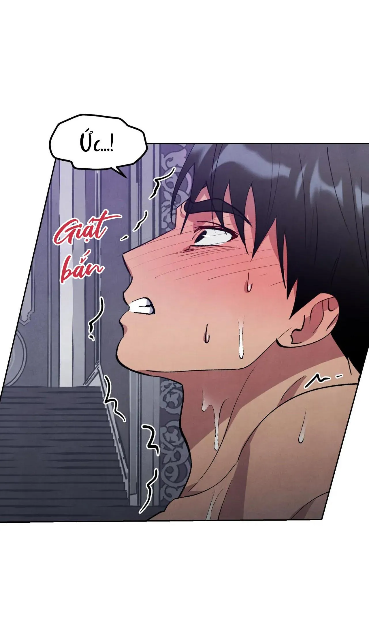 KHẾ ƯỚC BÍ MẬT CỦA ĐẠI CÔNG TƯỚC XỨ BẮC Chapter 48 Trang 17