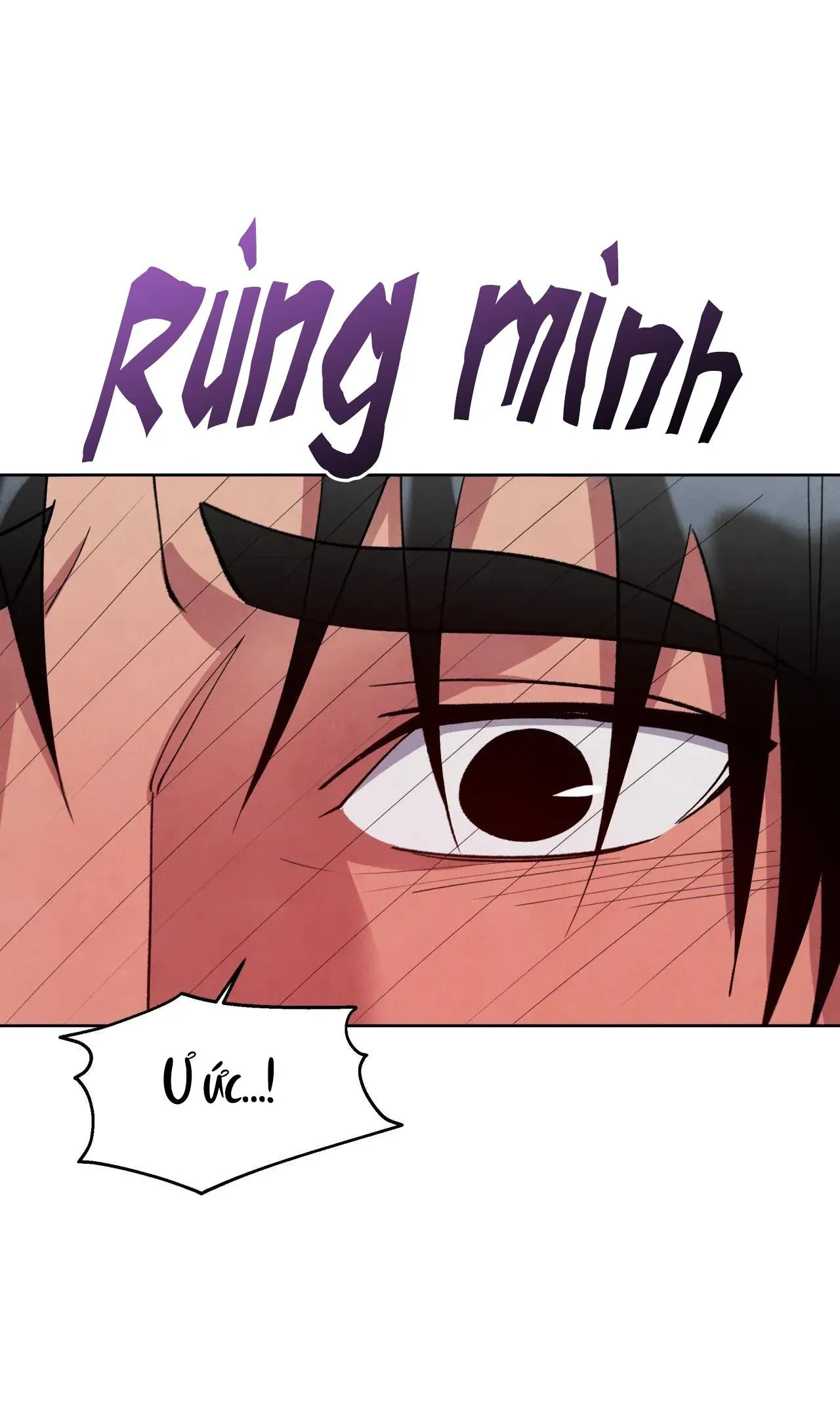 KHẾ ƯỚC BÍ MẬT CỦA ĐẠI CÔNG TƯỚC XỨ BẮC Chapter 48 Trang 21