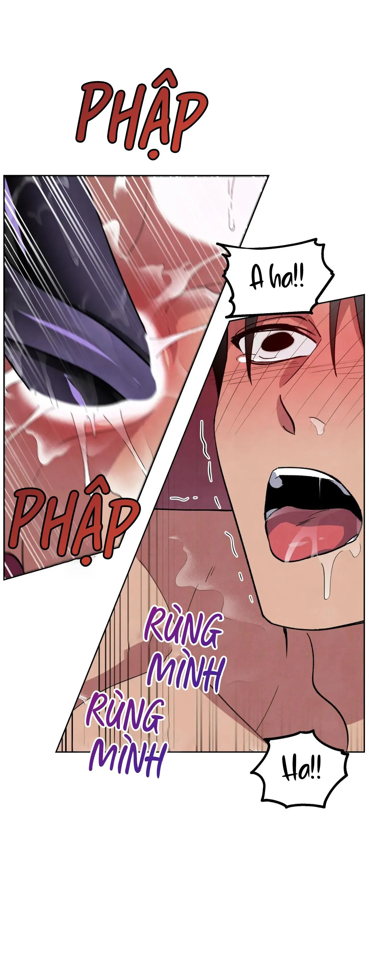 KHẾ ƯỚC BÍ MẬT CỦA ĐẠI CÔNG TƯỚC XỨ BẮC Chapter 48 Trang 46