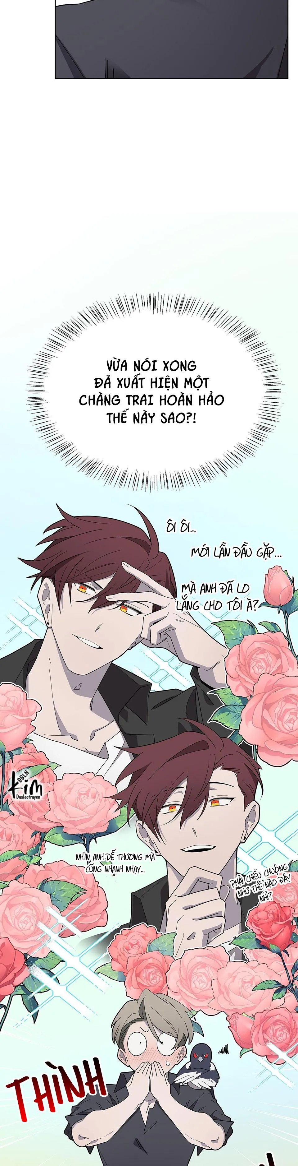 KHI CHIM THƯỚC ĐẾN Chapter 2 Trang 3