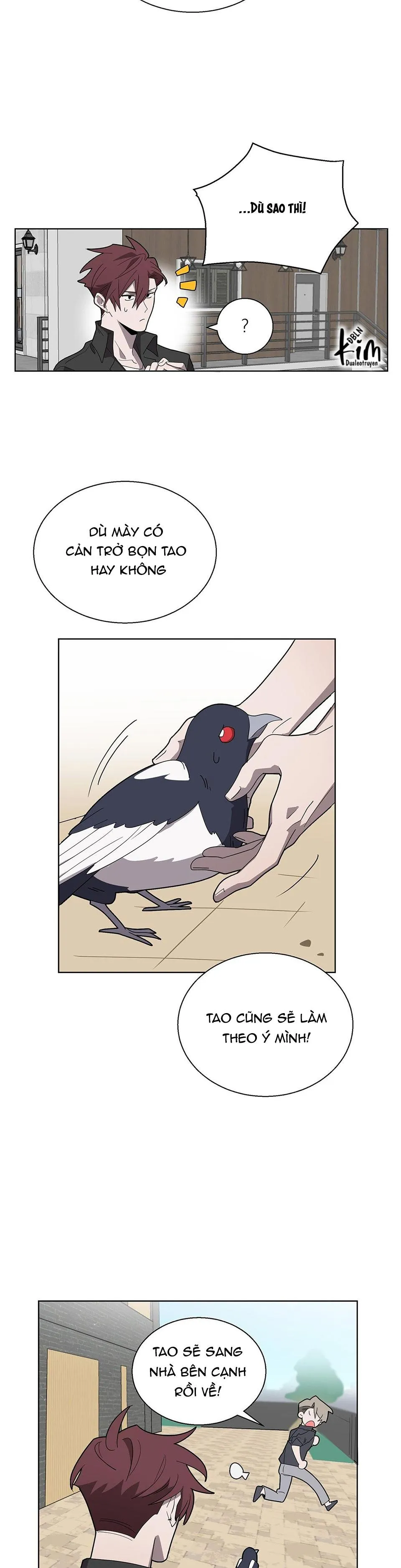 KHI CHIM THƯỚC ĐẾN Chapter 2 Trang 25