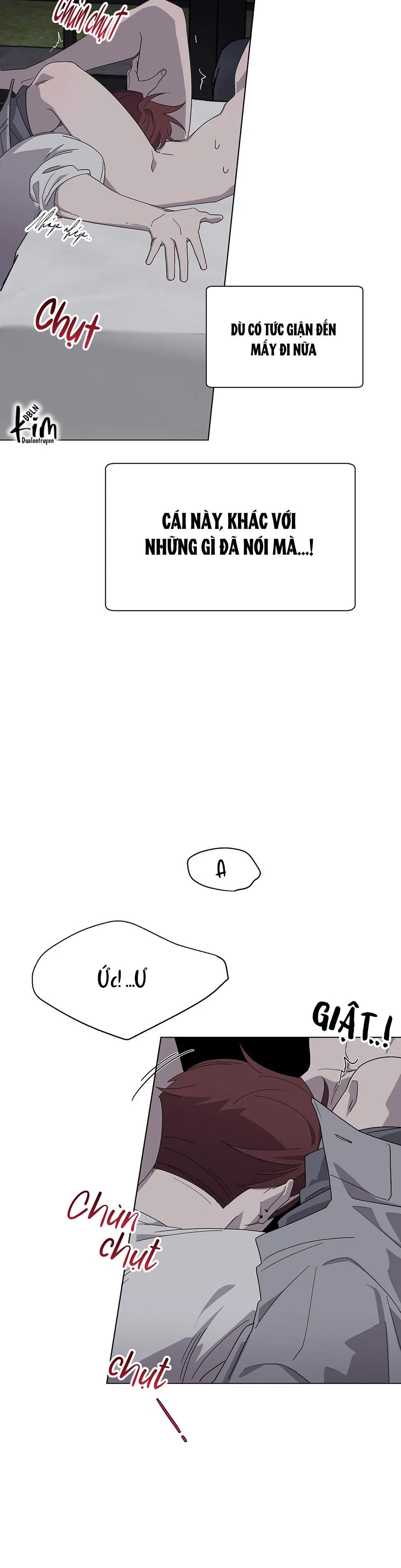 KHI CHIM THƯỚC ĐẾN Chapter 3 Trang 35