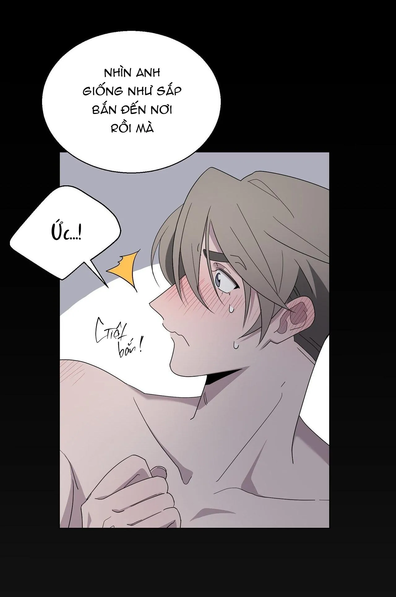 KHI CHIM THƯỚC ĐẾN Chapter 4 Trang 11