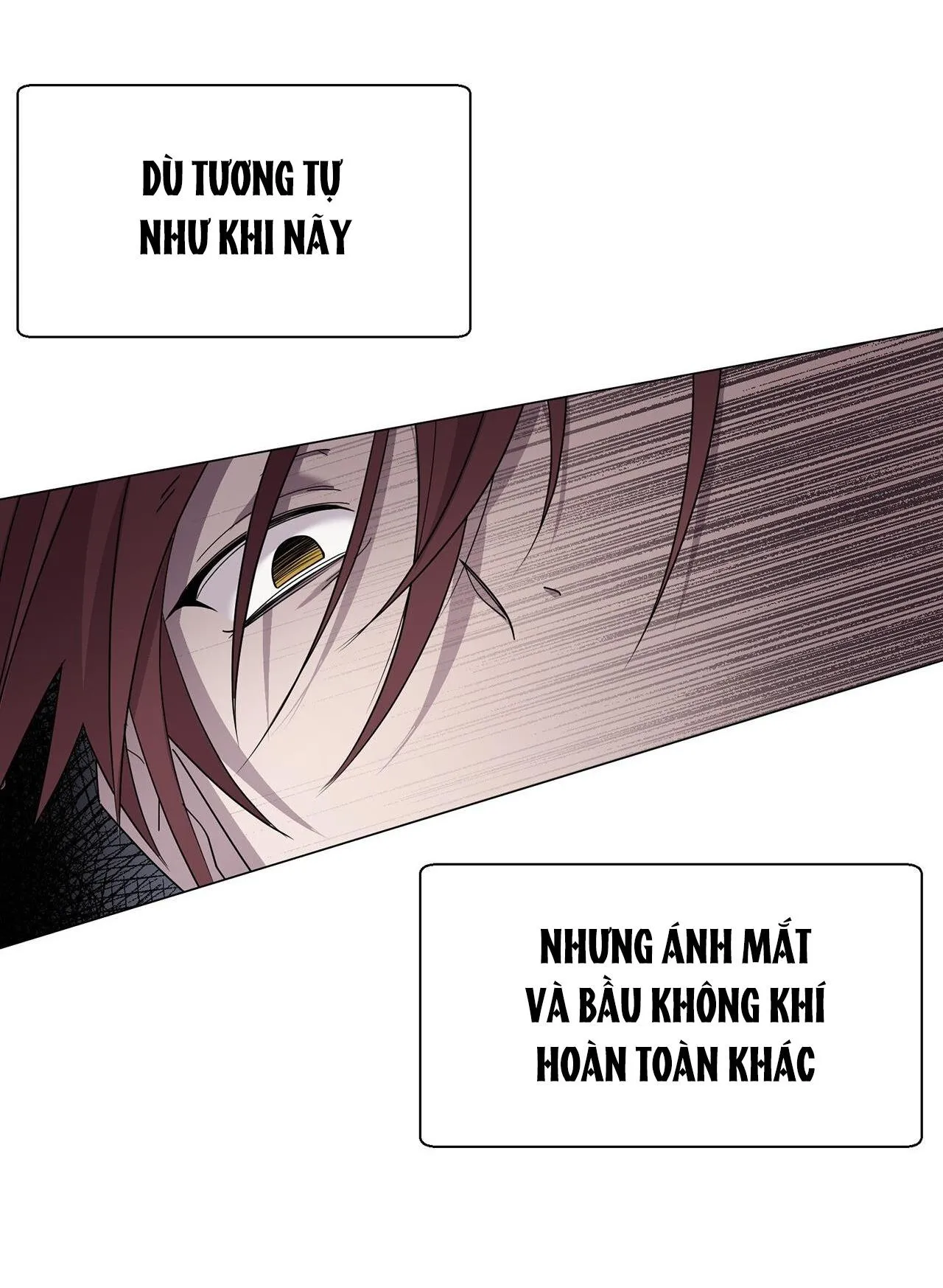 KHI CHIM THƯỚC ĐẾN Chapter 4 Trang 81