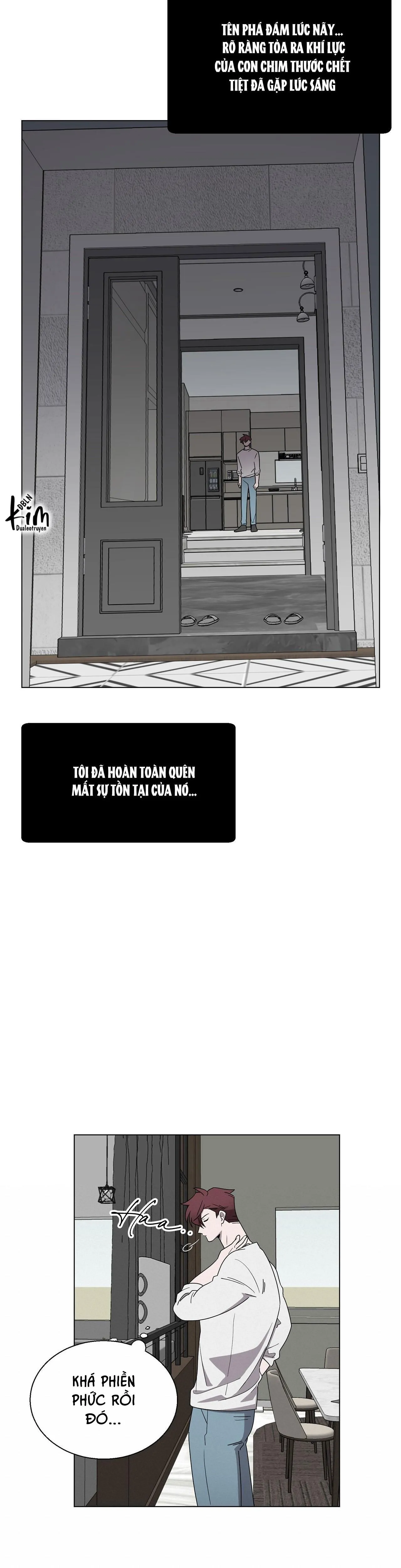 KHI CHIM THƯỚC ĐẾN Chapter 5 Trang 11