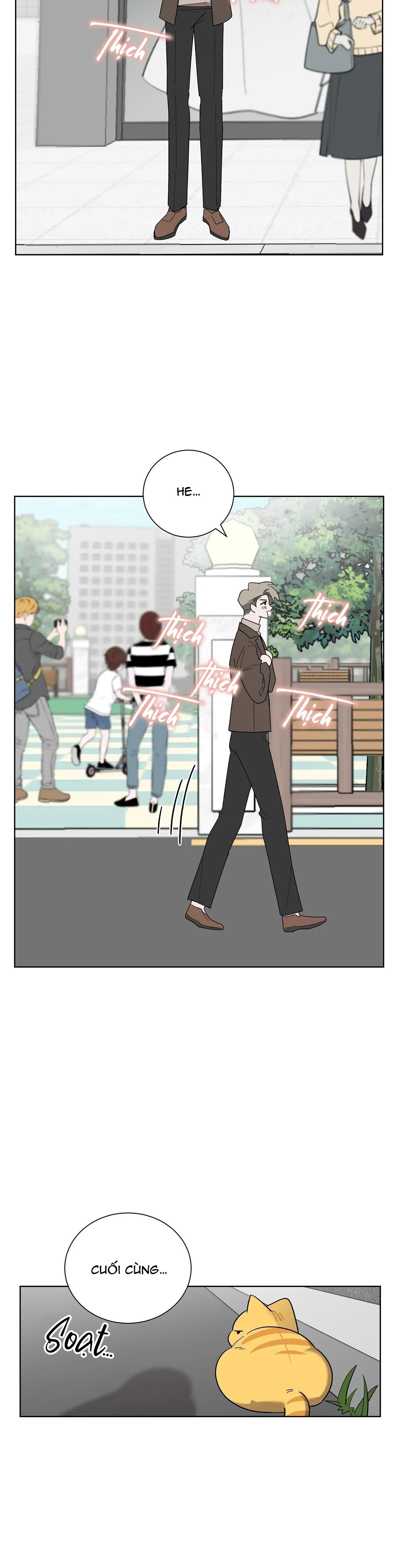 KHI CHIM THƯỚC ĐẾN Chapter 8 Trang 14