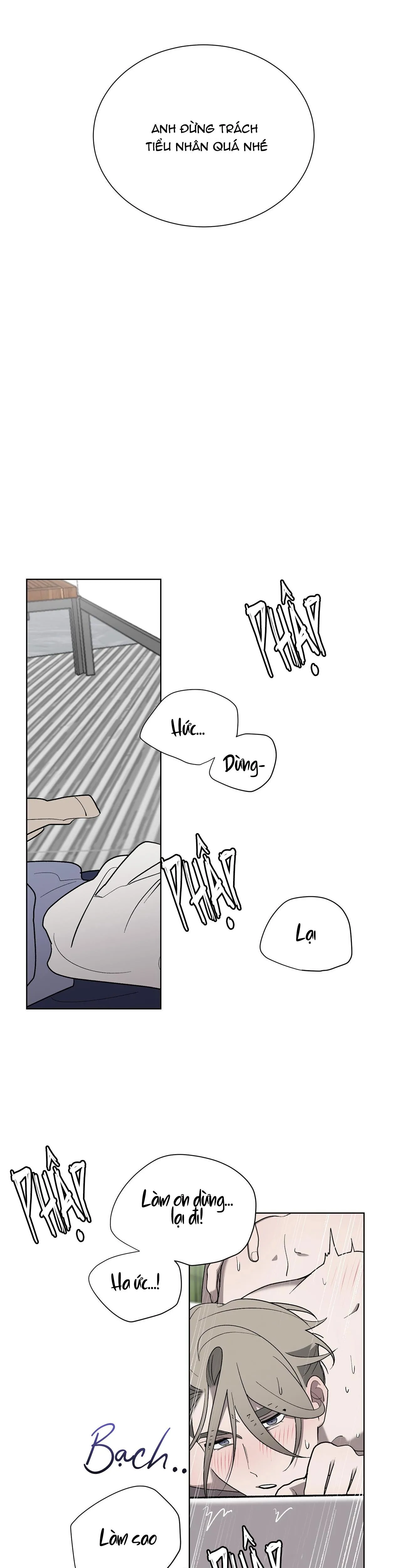 KHI CHIM THƯỚC ĐẾN Chapter 8 Trang 42