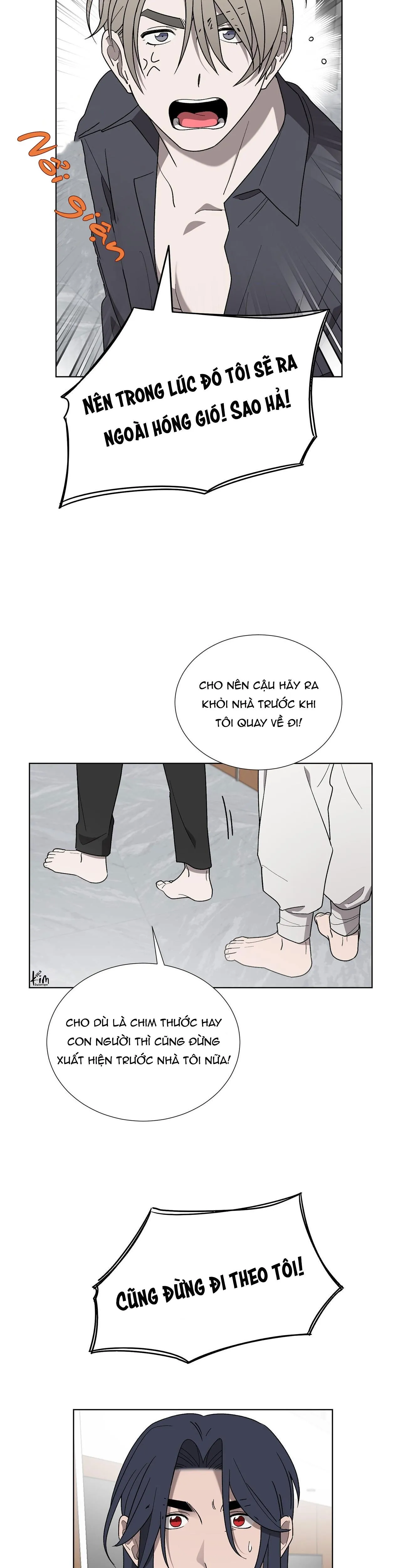 KHI CHIM THƯỚC ĐẾN Chapter 9 Trang 11