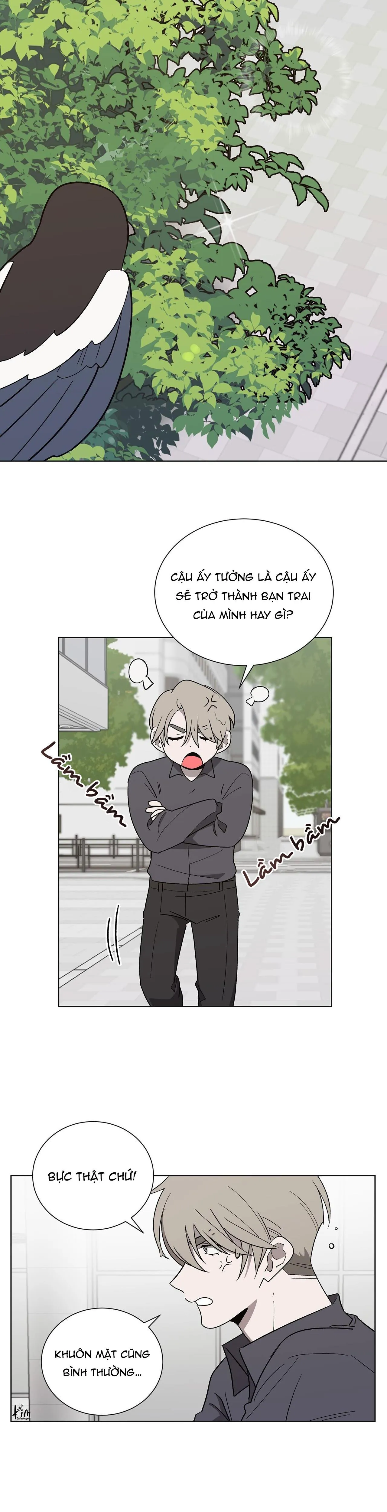 KHI CHIM THƯỚC ĐẾN Chapter 9 Trang 13