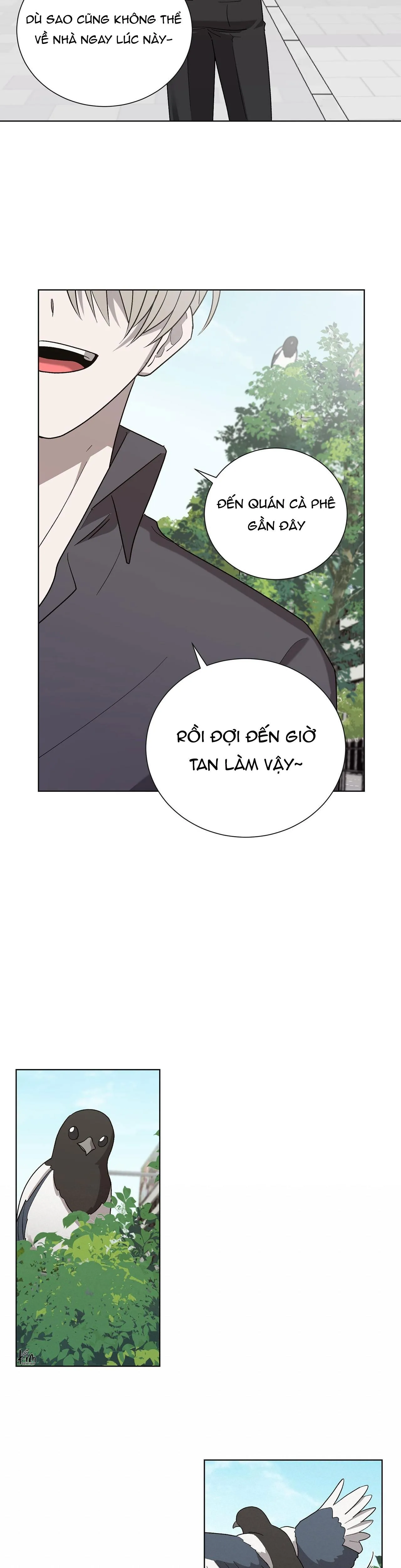 KHI CHIM THƯỚC ĐẾN Chapter 9 Trang 19