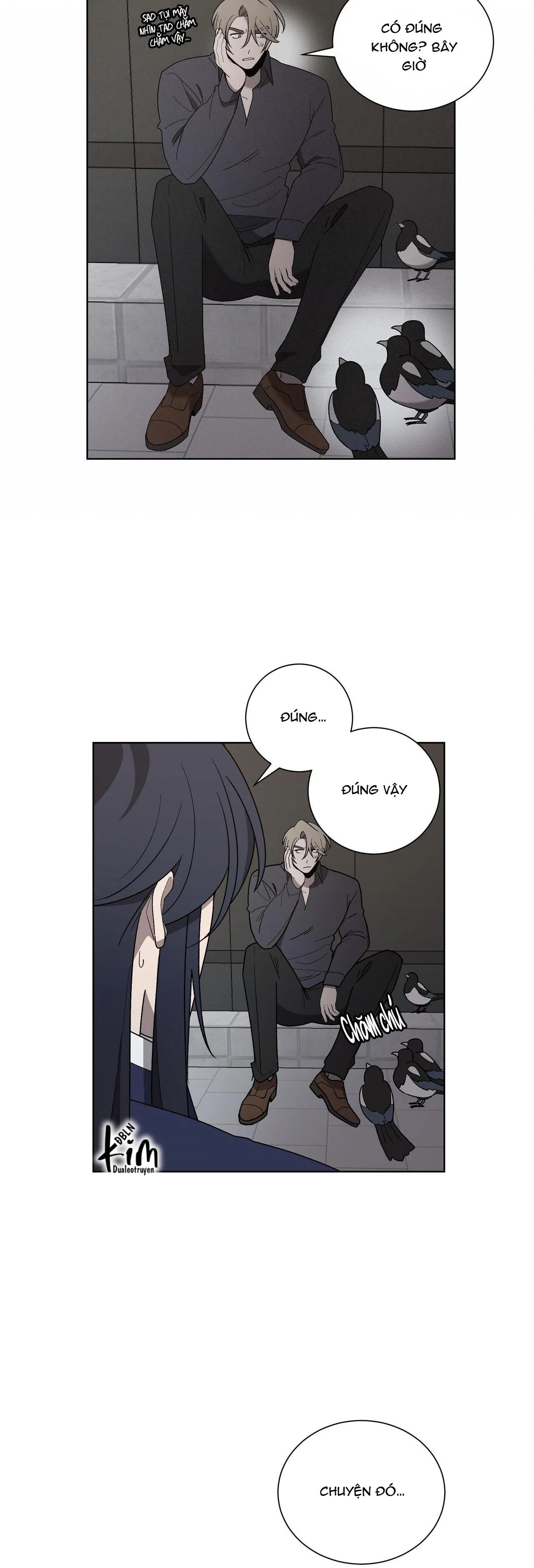 KHI CHIM THƯỚC ĐẾN Chapter 10 Trang 15