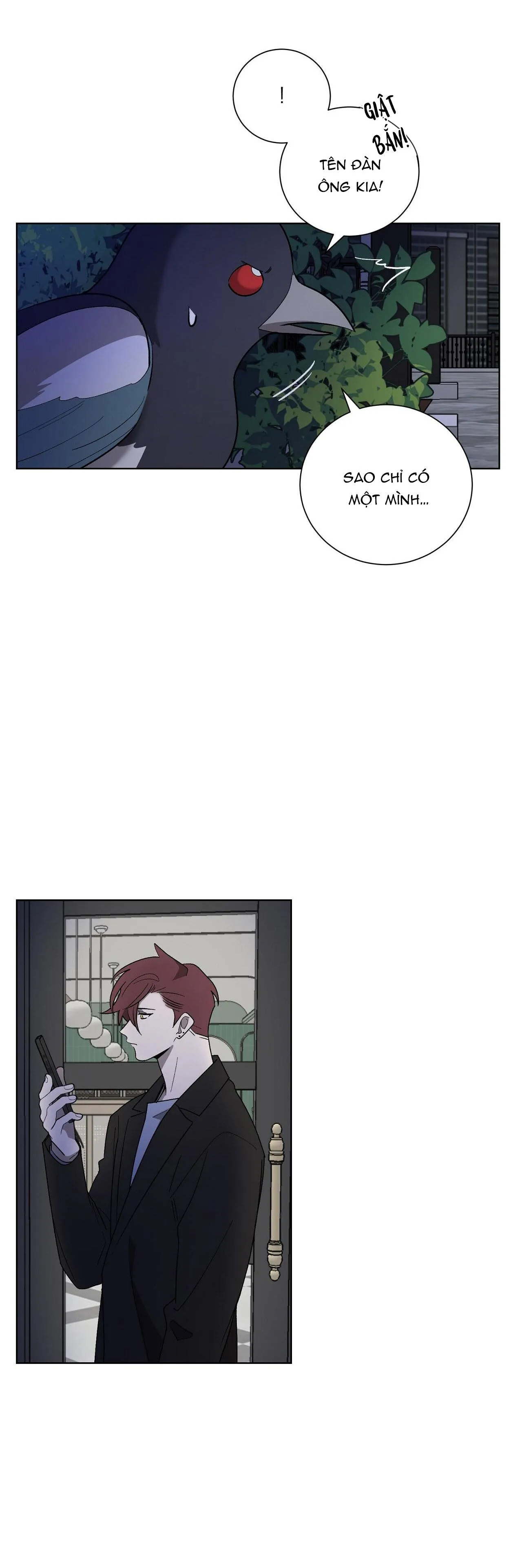 KHI CHIM THƯỚC ĐẾN Chapter 11 Trang 28
