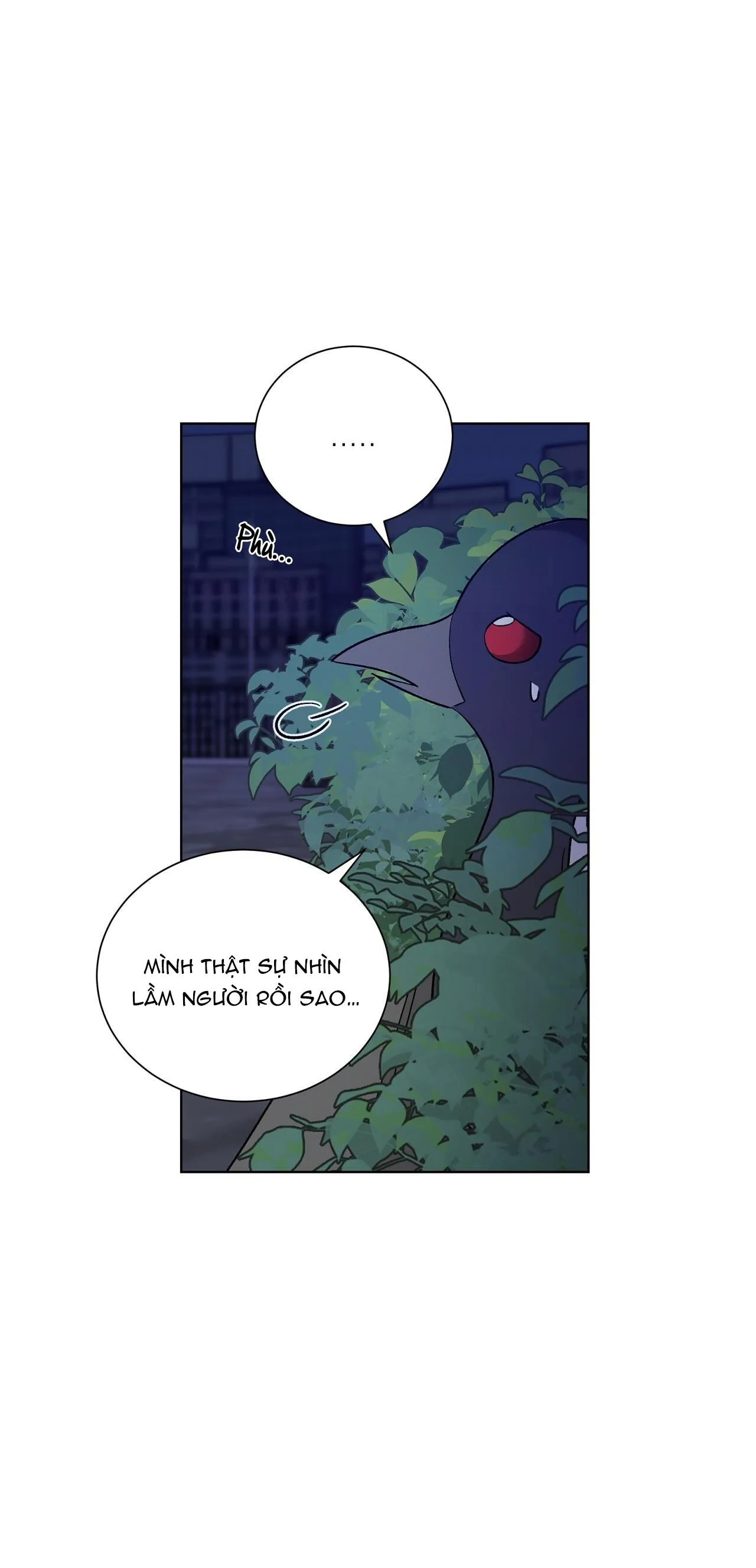 KHI CHIM THƯỚC ĐẾN Chapter 11 Trang 33