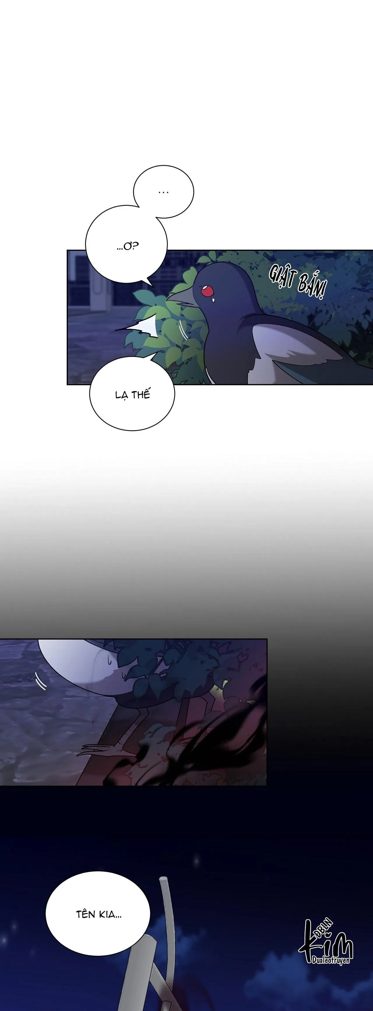 KHI CHIM THƯỚC ĐẾN Chapter 11 Trang 38