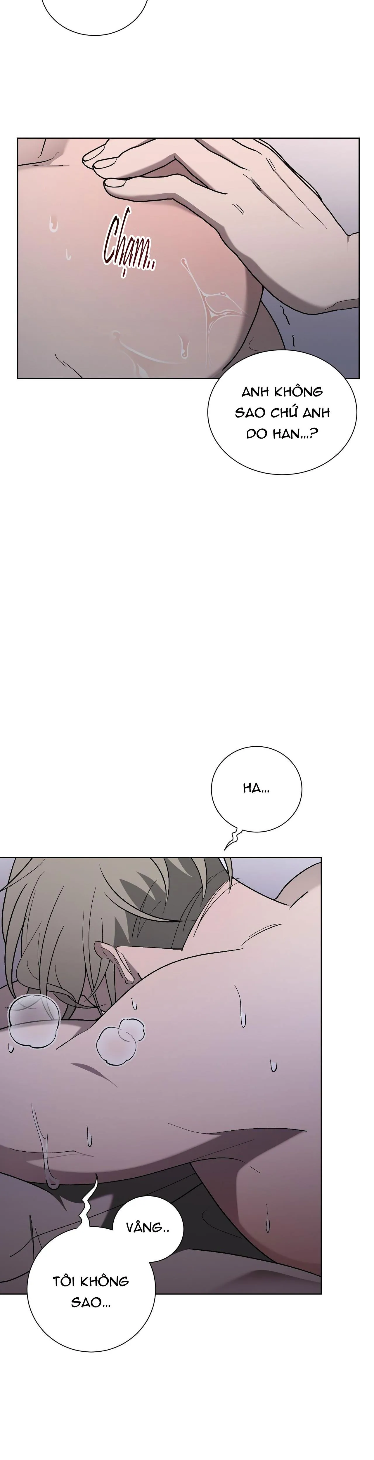 KHI CHIM THƯỚC ĐẾN Chapter 12 Trang 3